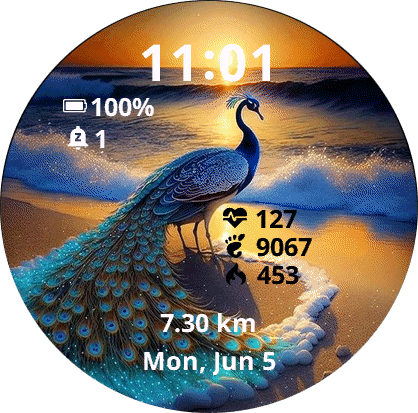 App Icon