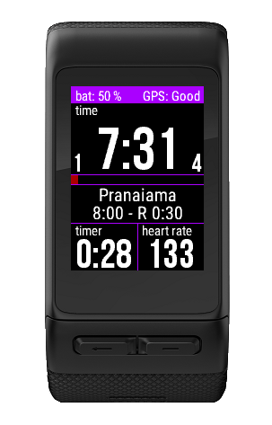 garmin forerunner 235 gym