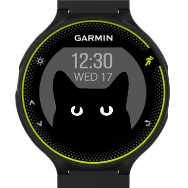 キャット Garmin Connect Iq