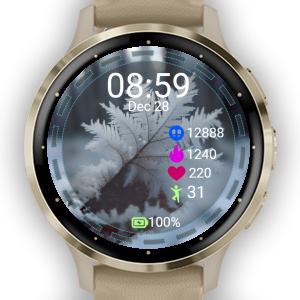 Samsung galaxy best sale watch garmin connect