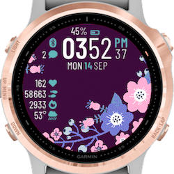 Garmin best sale fenix femme