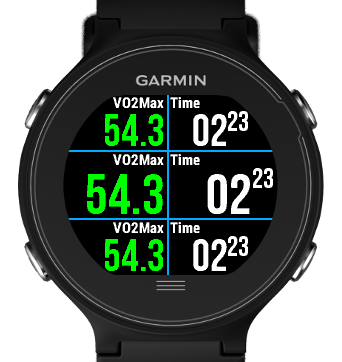 Garmin forerunner 735xt sales vo2max