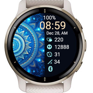 Galaxy watch cheap garmin connect