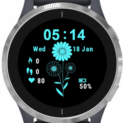 garmin watch updates