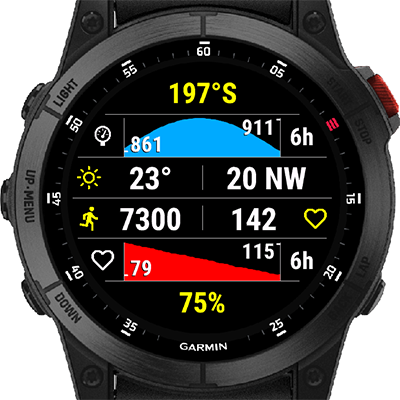 Garmin fenix 5x widgets sale