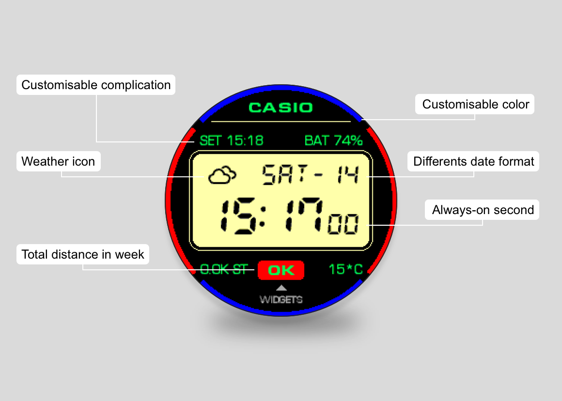 Casio 3000 Garmin Connect IQ