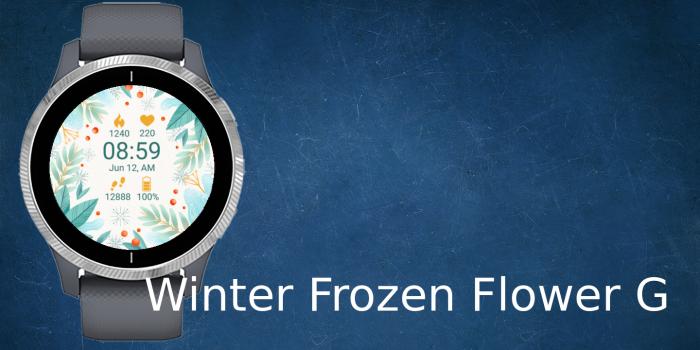 Garmin forerunner deals 220 frozen