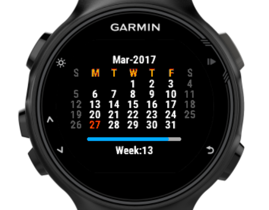 Garmin vivoactive 3 sales calendar