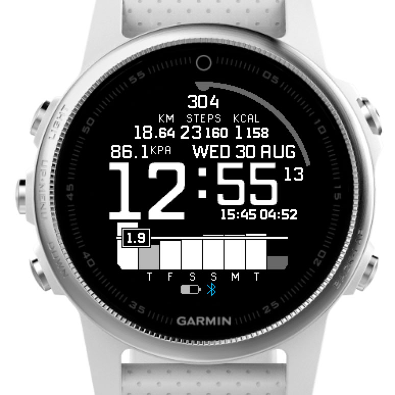 what is garmin iq