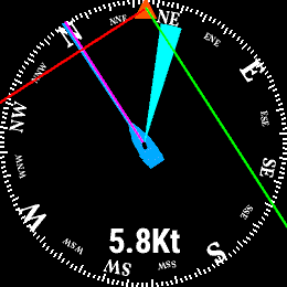 raceQs sailing tactics racing watch Garmin Connect IQ