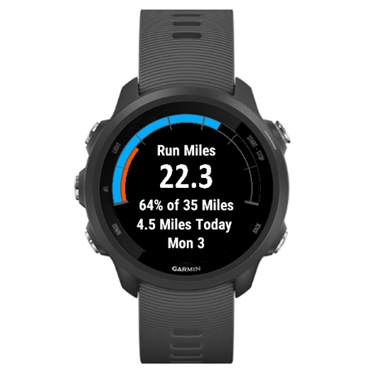 Garmin store 245 apps