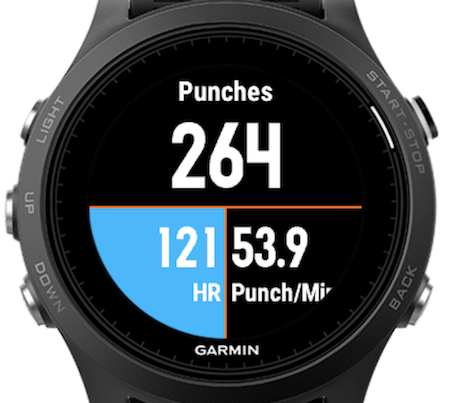 Boxing / Kick Boxing | Garmin Connect IQ