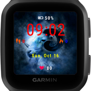 garmin watch updates