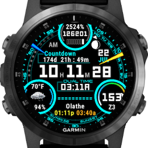 SC1 Garmin Connect IQ