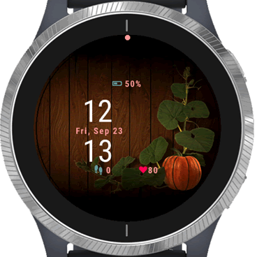 Garmin connect store gear s3