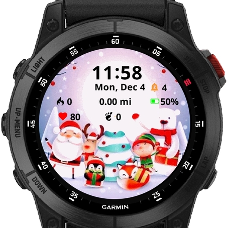 Garmin forerunner 15 online app