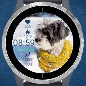 Garmin dog watch sale