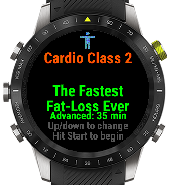 Garmin cheap cardio workout