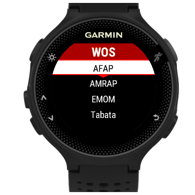 Garmin 2025 fenix crossfit