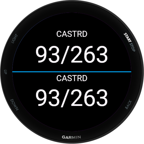 Garmin running outlet app