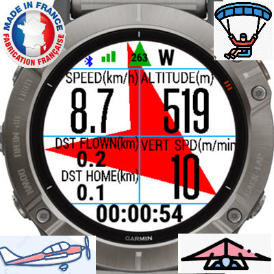 Garmin connect online montre