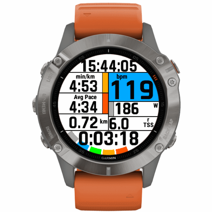 garmin pro runner