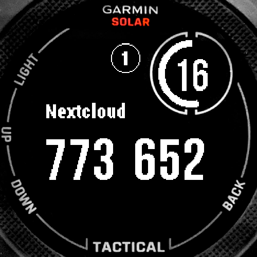 Authenticator Instinct Garmin Connect IQ