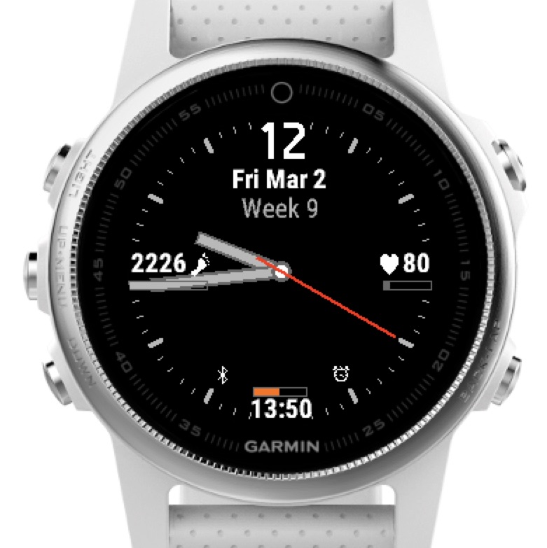 forerunner 245 watch face