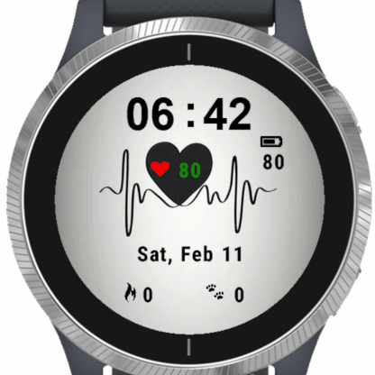 garmin watch updates