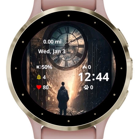 Garmin vivoactive 3 discount app