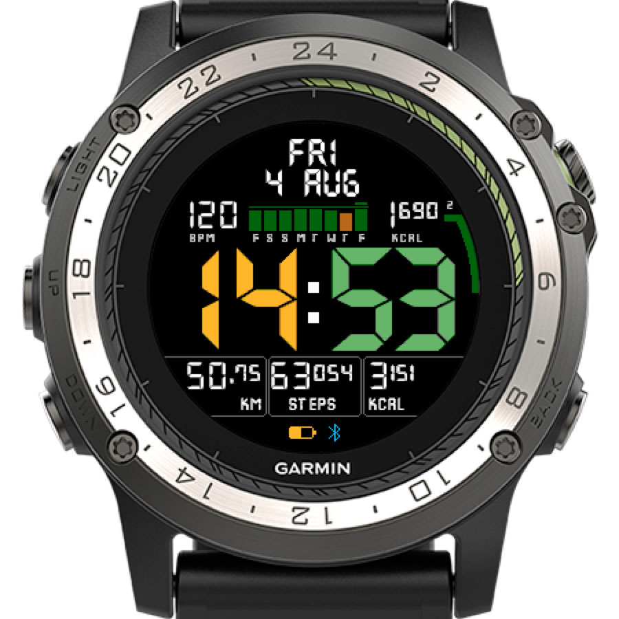 garmin lily connect iq