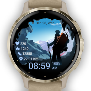 Galaxy watch garmin online connect