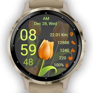 App Icon