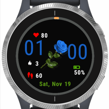 garmin watch updates