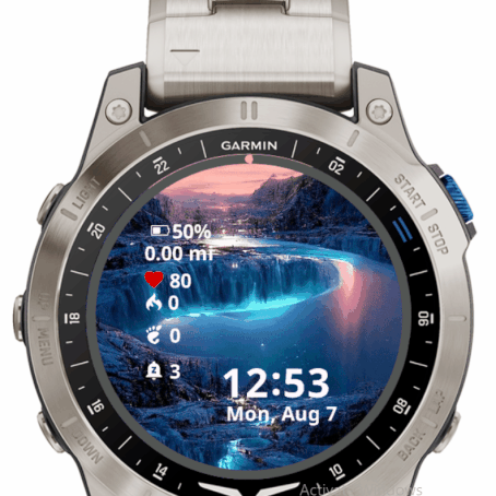 Garmin forerunner 2025 10 frozen