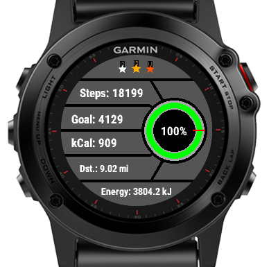 Best 2025 garmin widget