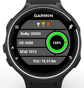 Garmin outlet steps widget