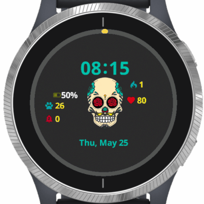 garmin watch updates