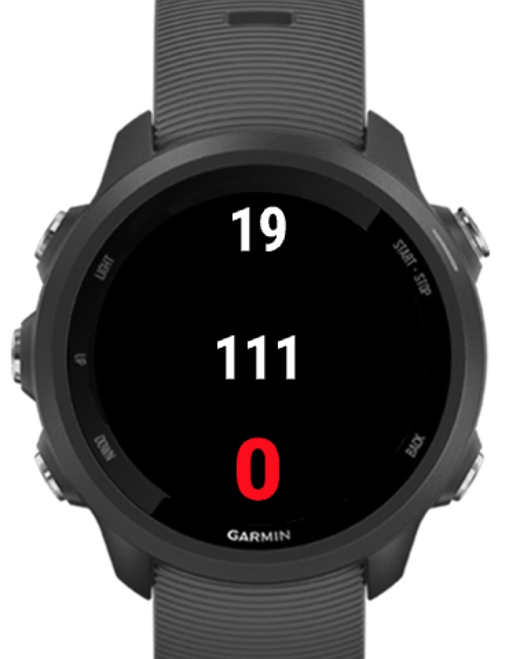 Garmin discount 245 stopwatch