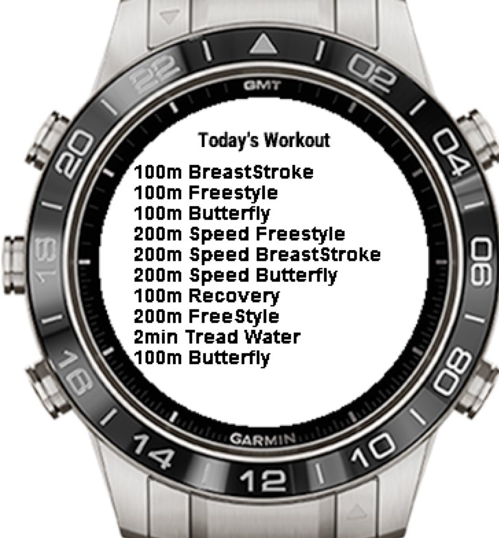 Garmin 2025 swim app