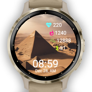 Samsung watch garmin online connect