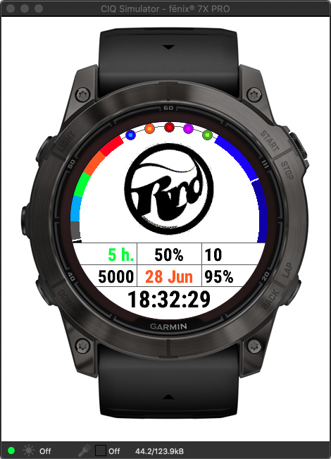 Montre discount garmin kitesurf