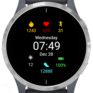 Garmin Activity Garmin Connect IQ