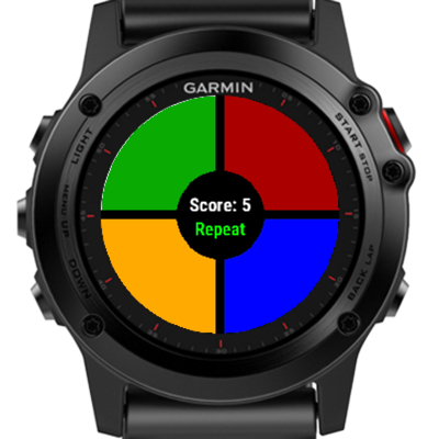 garmin fenix 5 memory