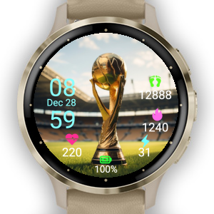 Garmin soccer online