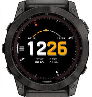 Garmin on sale hunting watch