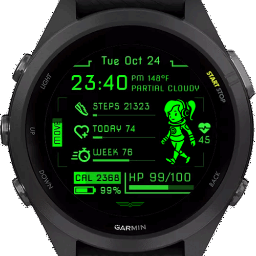 Garmin watch discount face with temperature