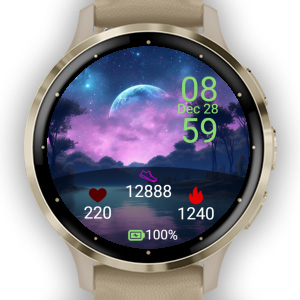 Galaxy watch store garmin connect