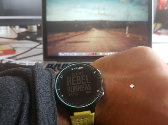 Garmin sales 245 rebel