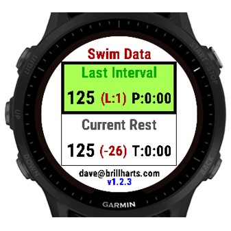 Garmin 2024 swim app